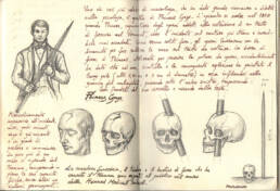 Taccuino - Il miracoloso caso di Phineas Gage