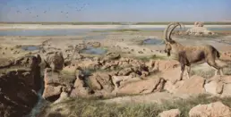 Al-Ahsa Oasis environment (from Neolithic to Modern times)